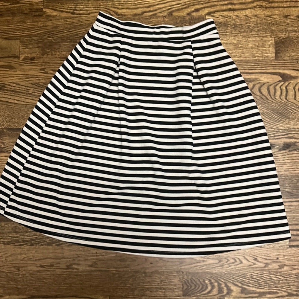 Fit & Flare Skirt